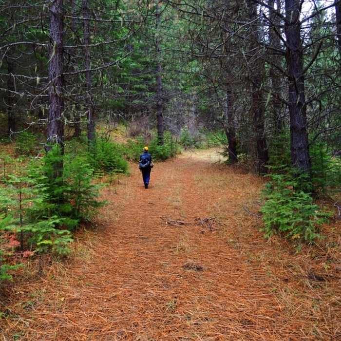 Near Willow Prairie North Loop #1091D