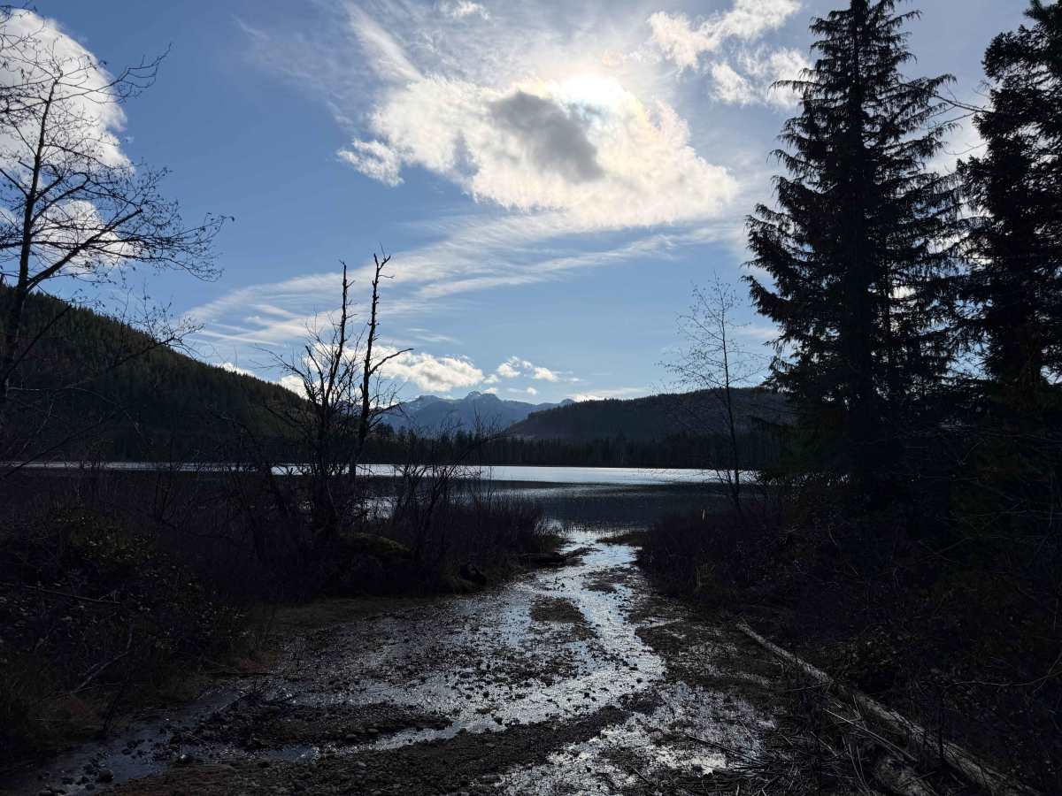 Healy lake photo 3