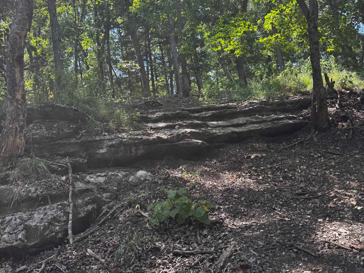 8 Mile Ridge  photo 2