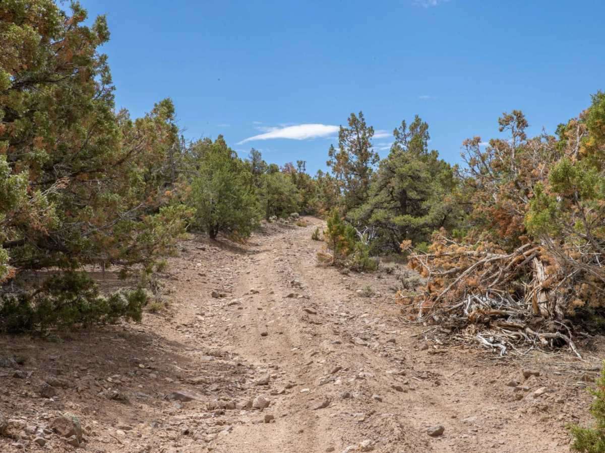 Black Mountain Road photo 4