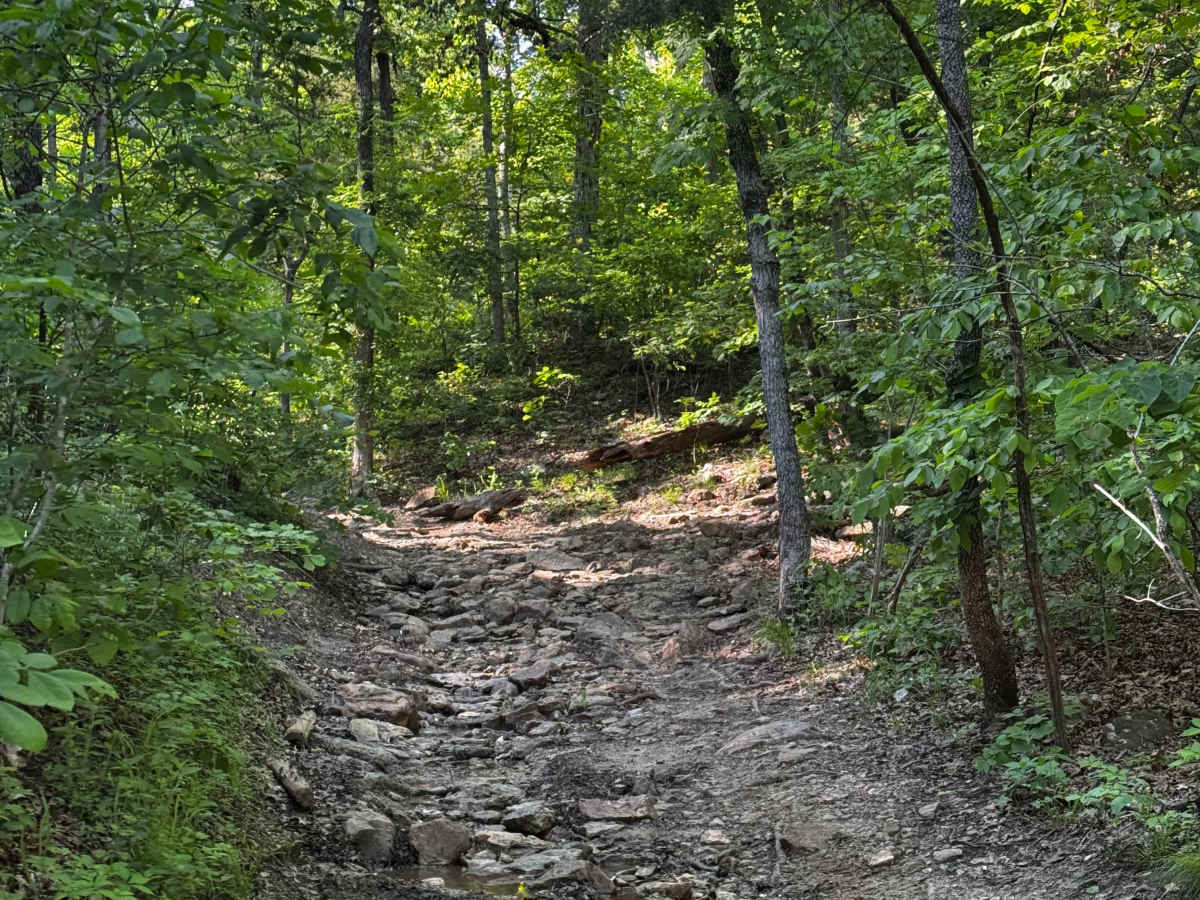Inner Vein  trail photo