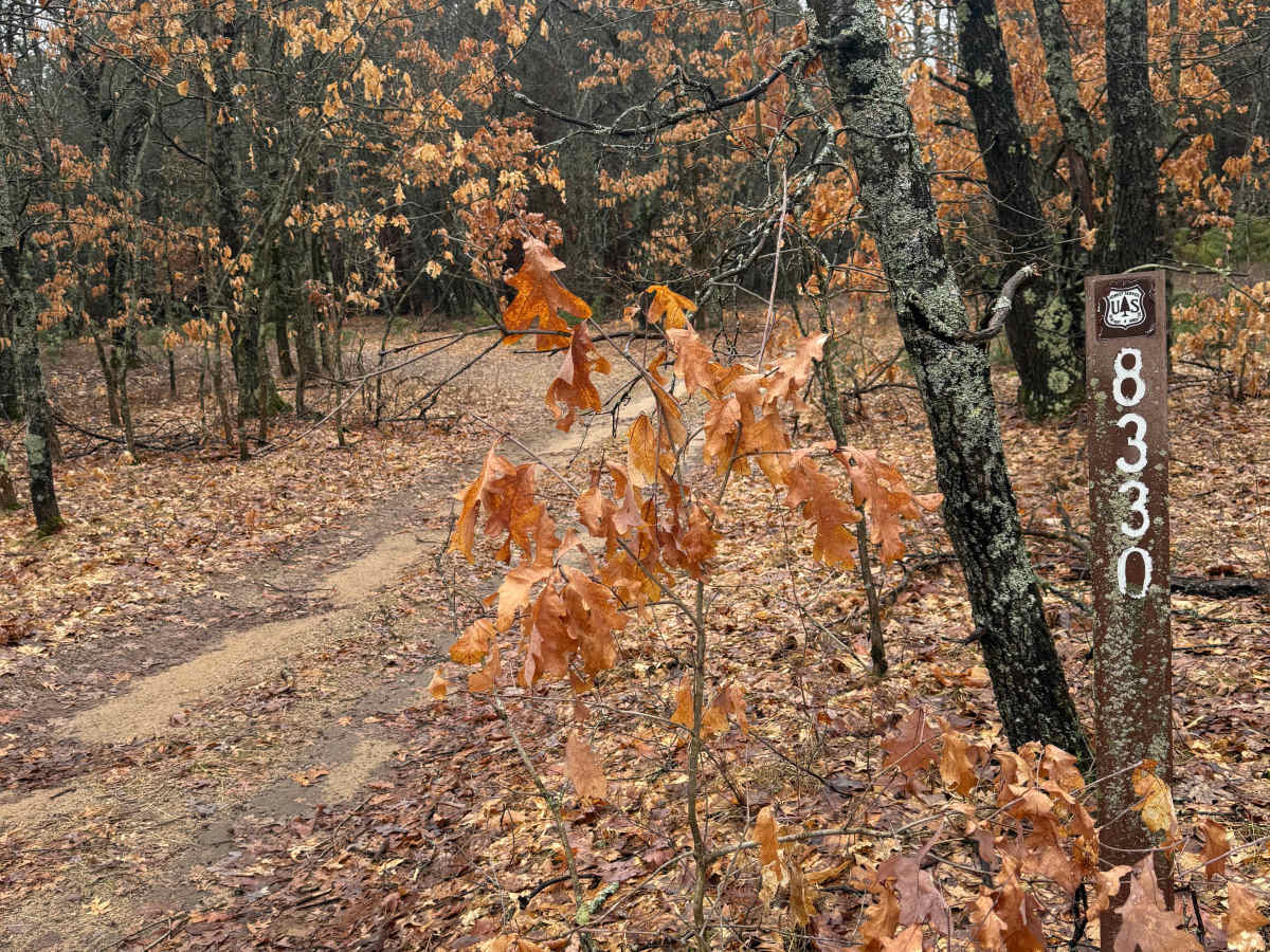 FS 8330 trail photo