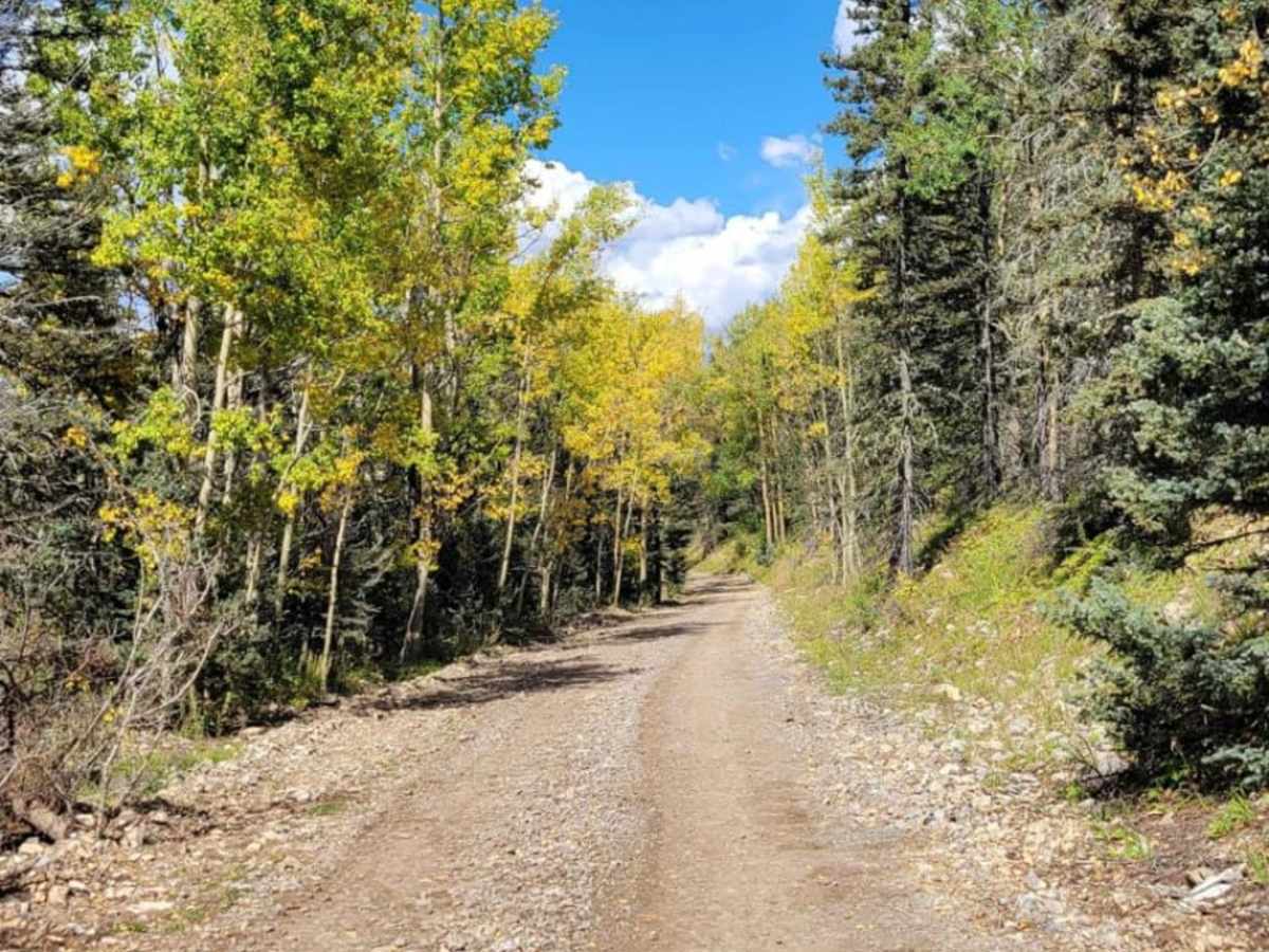 Elk Mountain photo 4