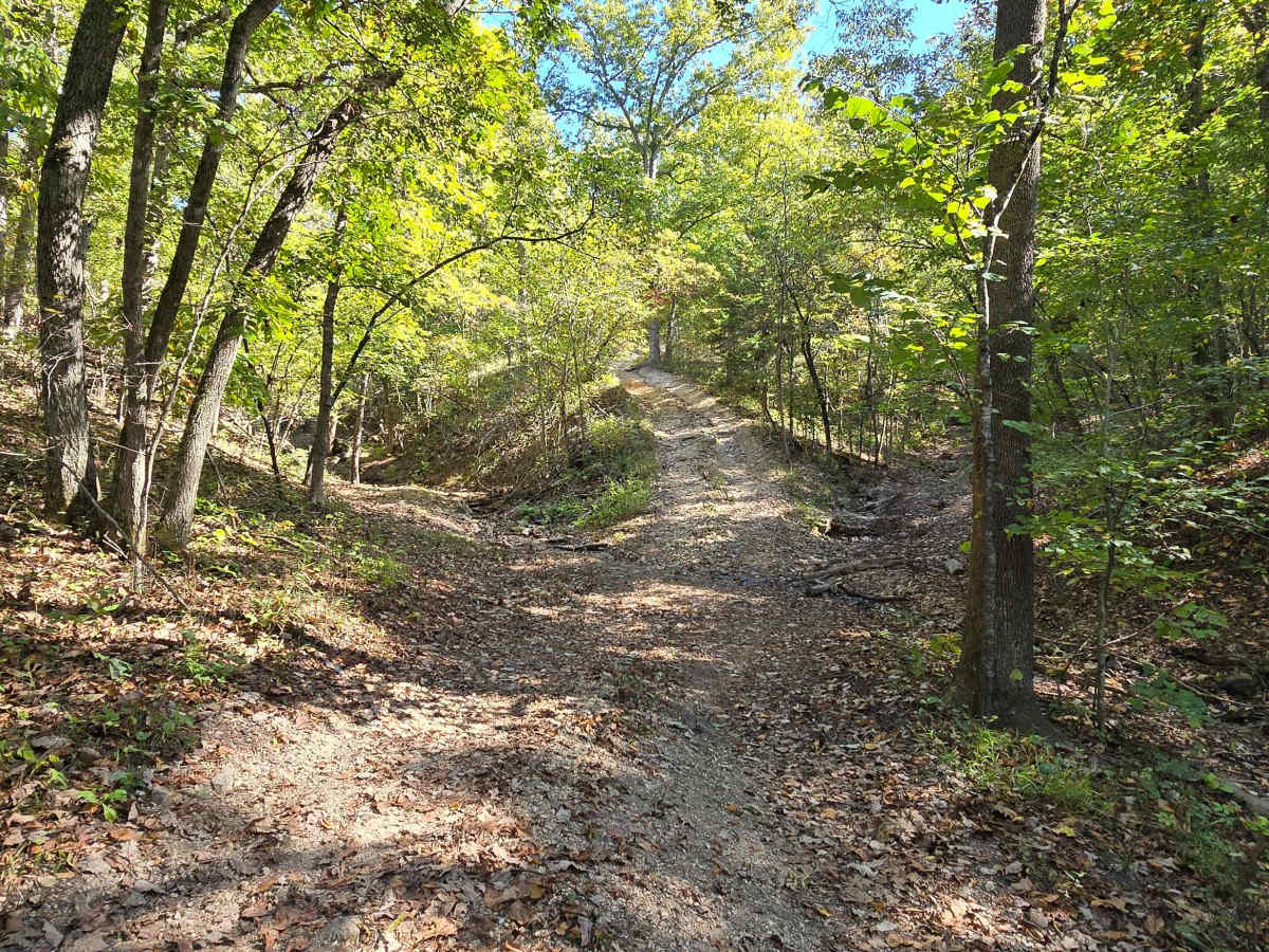 Hungover Trail photo 4
