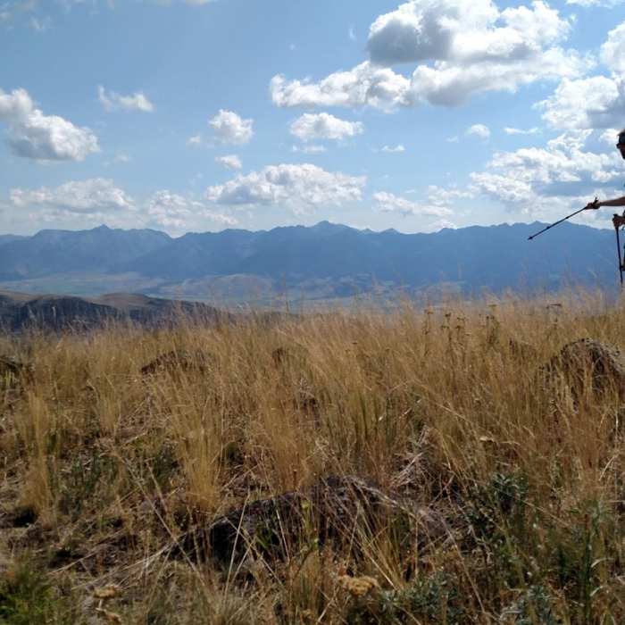 Near North Dry Creek