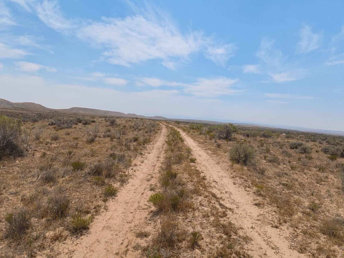 BLM 114 photo 2