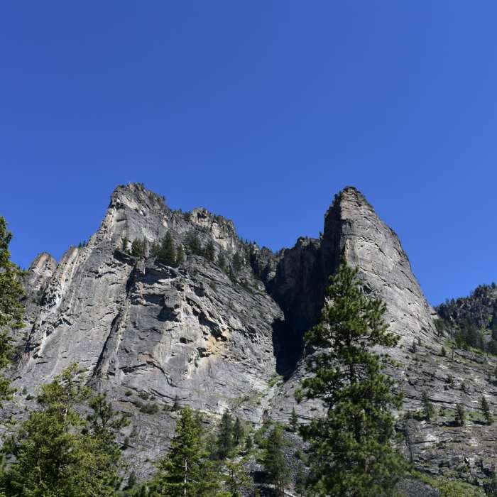 Near Blodgett Canyon