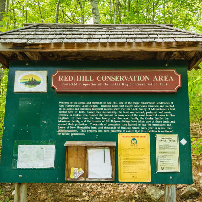 Near Red Hill Fire Tower via Red Hill + Cabin Trails