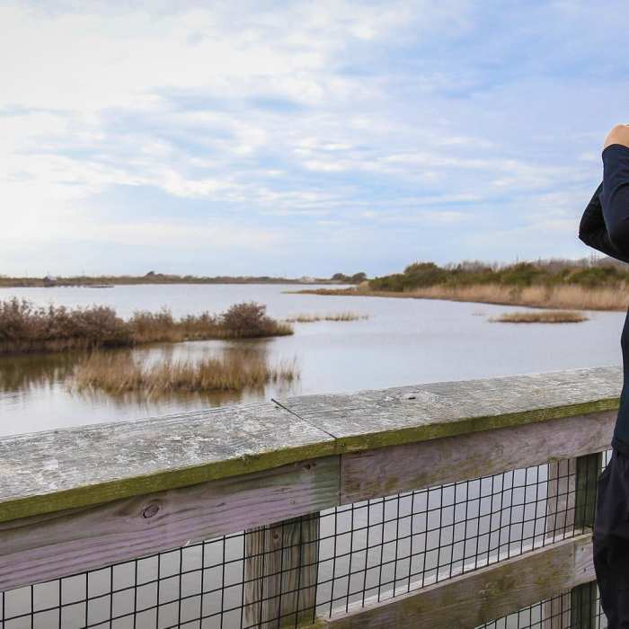 Near Fiddlers Loop Nature Trail Near Fiddlers Loop Nature Trail