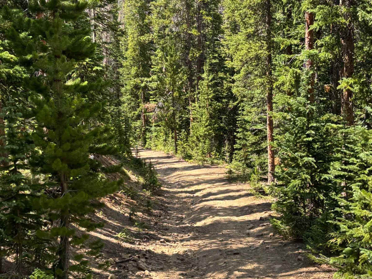 Hot Sulphur Spur Road photo 4