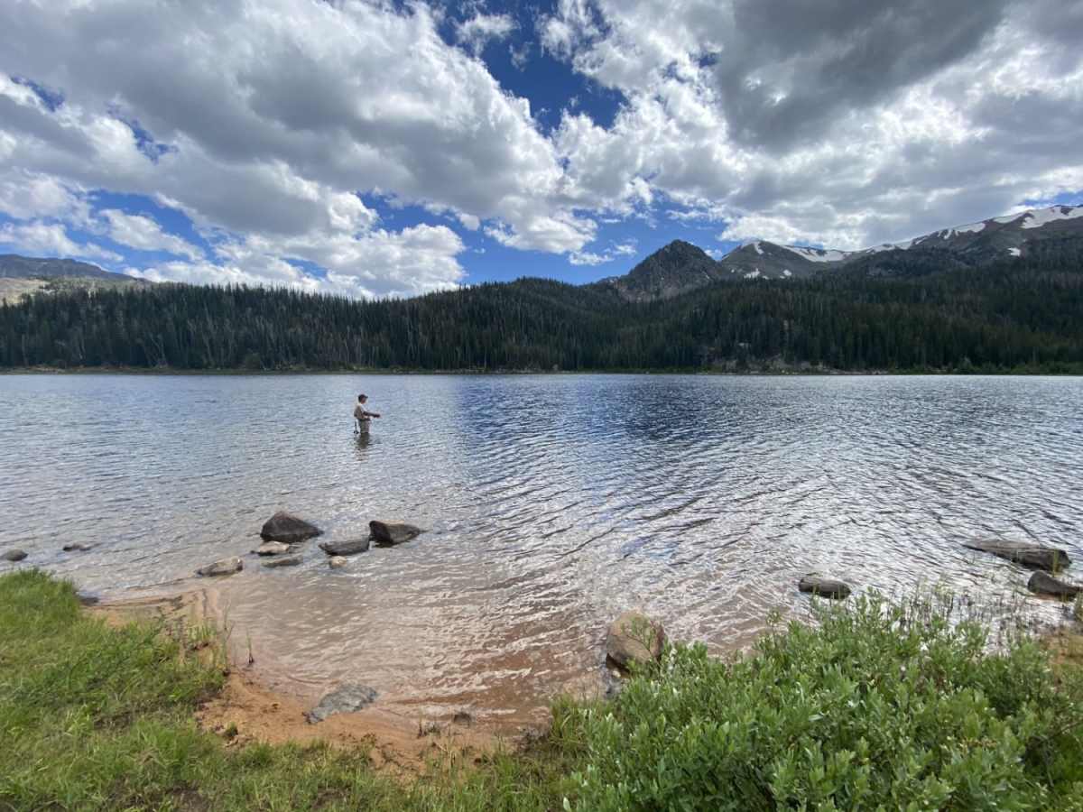 North Meadow - McKelvey trail photo