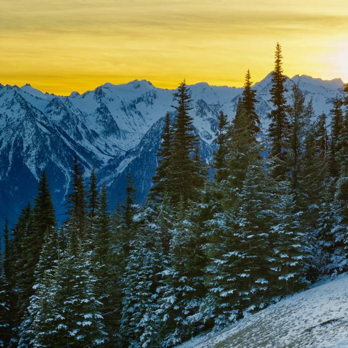 Near Cirque Rim Trail