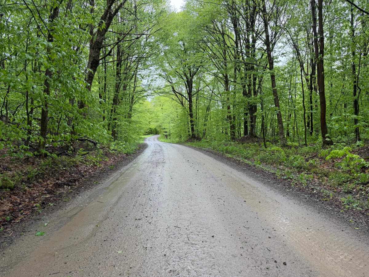 Goodhines Road photo 5