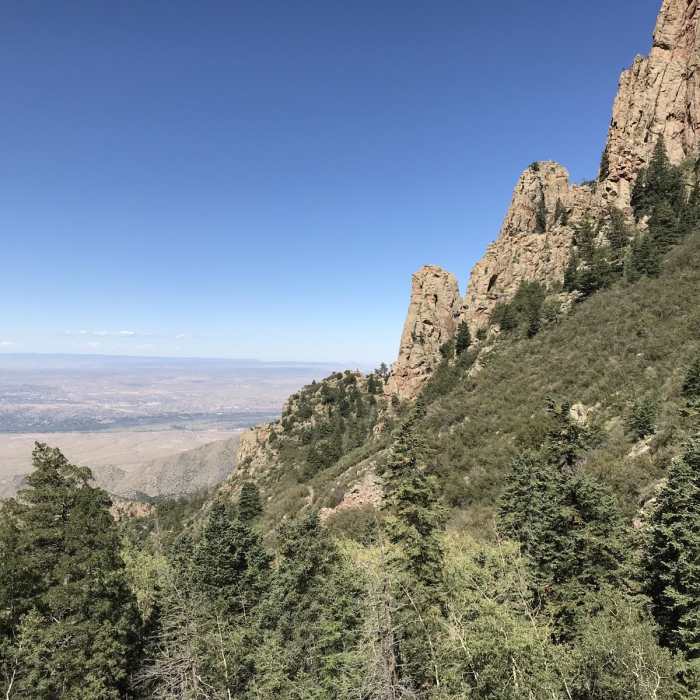 Near La Luz Trail