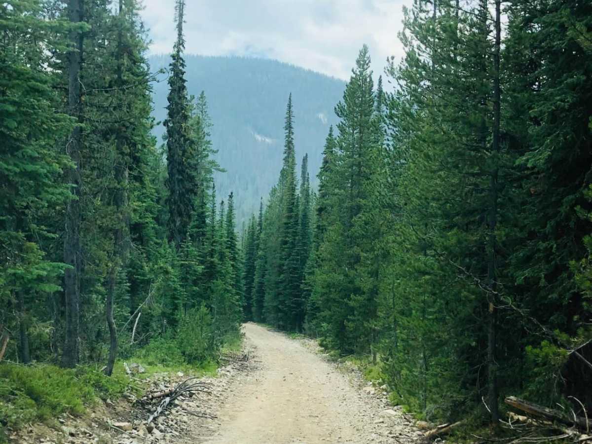 4th of July Trail photo 5