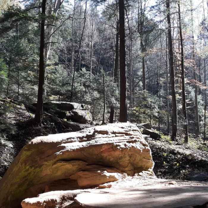 Under the recess cave. Looking up toward Pulpit Rock. Near Ash Cave Gorge Trail