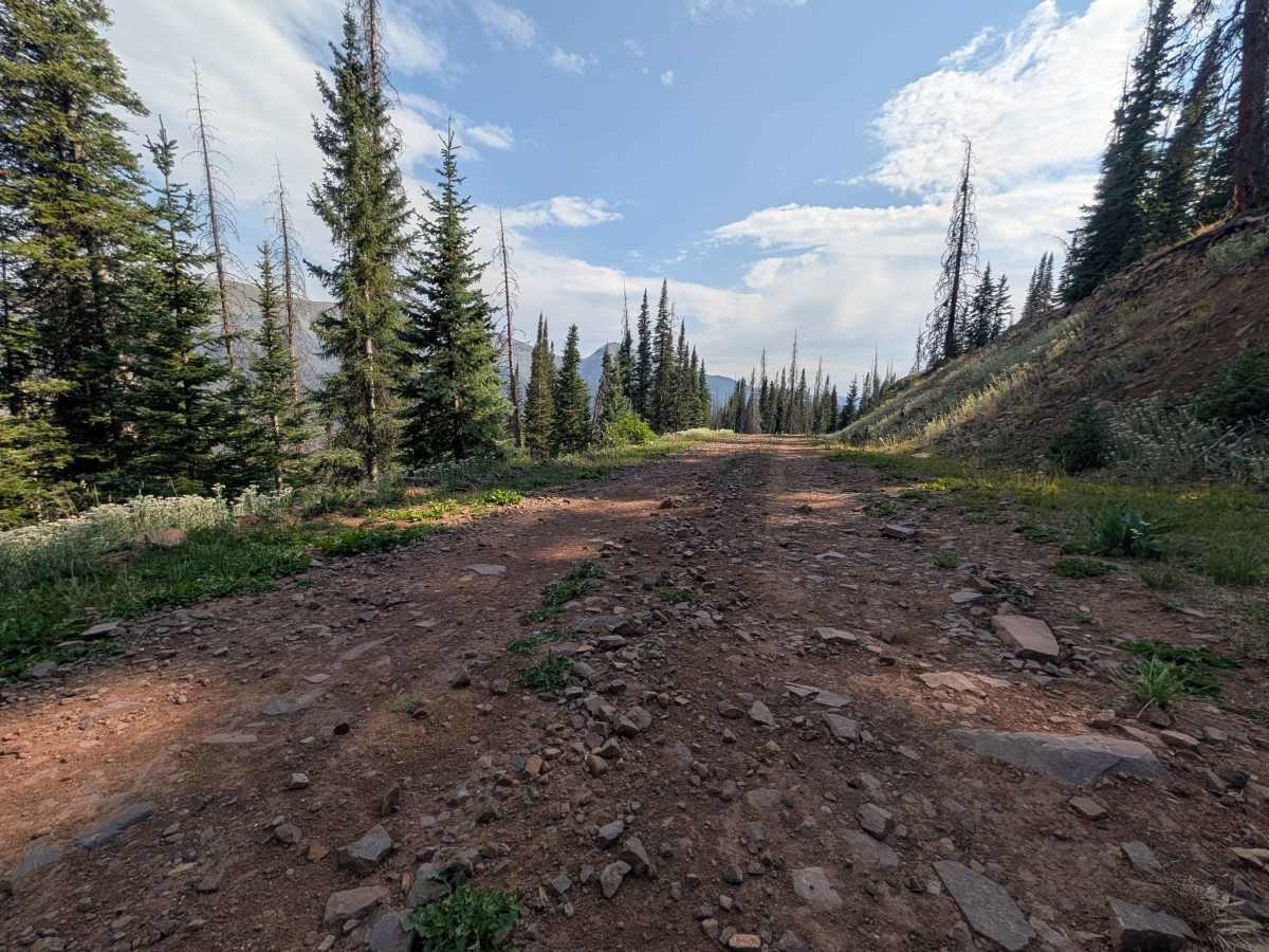 Rito Gato Road - FS 245 photo 3