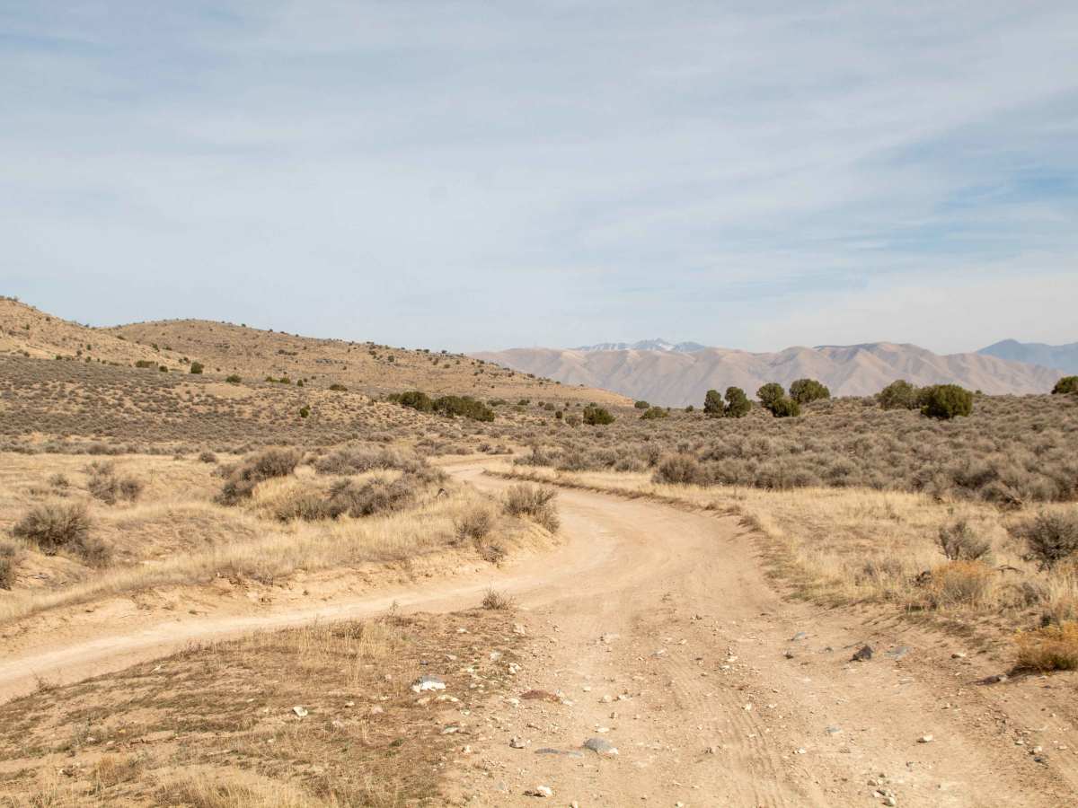 Little Moab Wash photo 4