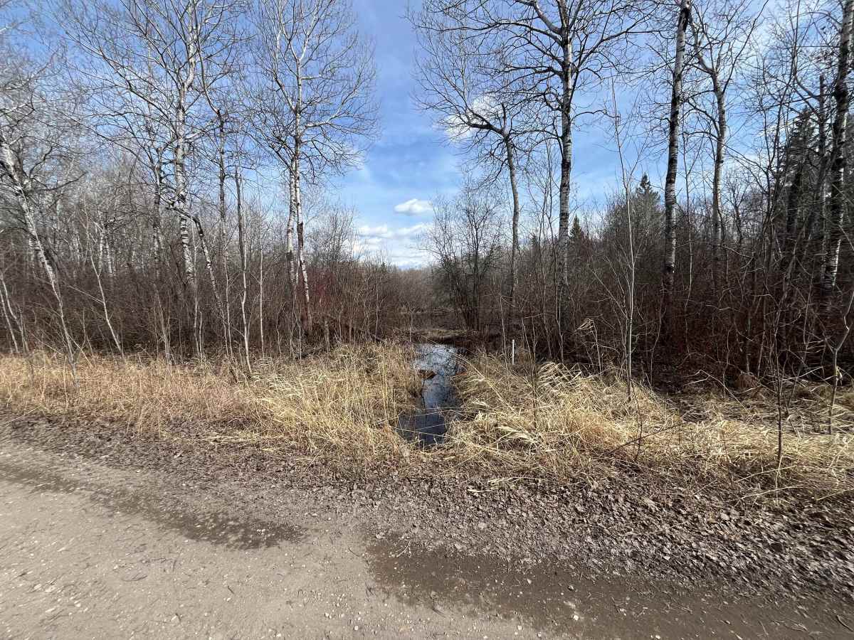 Sandilands Forestry Road 18 photo 6