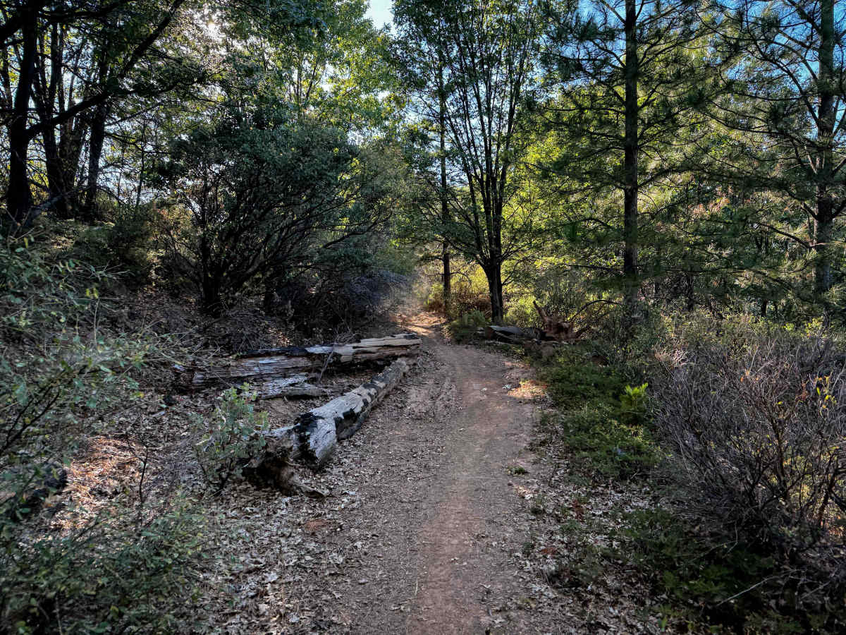 16EV244 photo 6