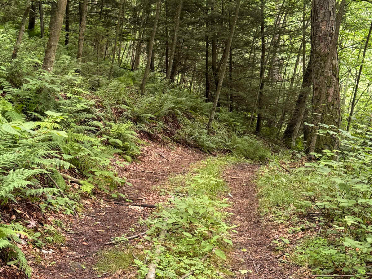 Trail 34 photo 3