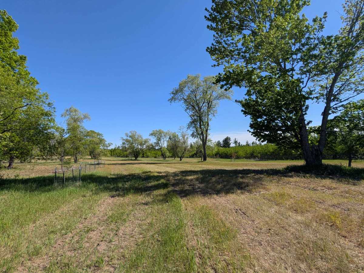 Huntfield Trail photo 5