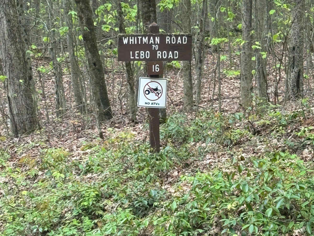 Whitman Road trail photo