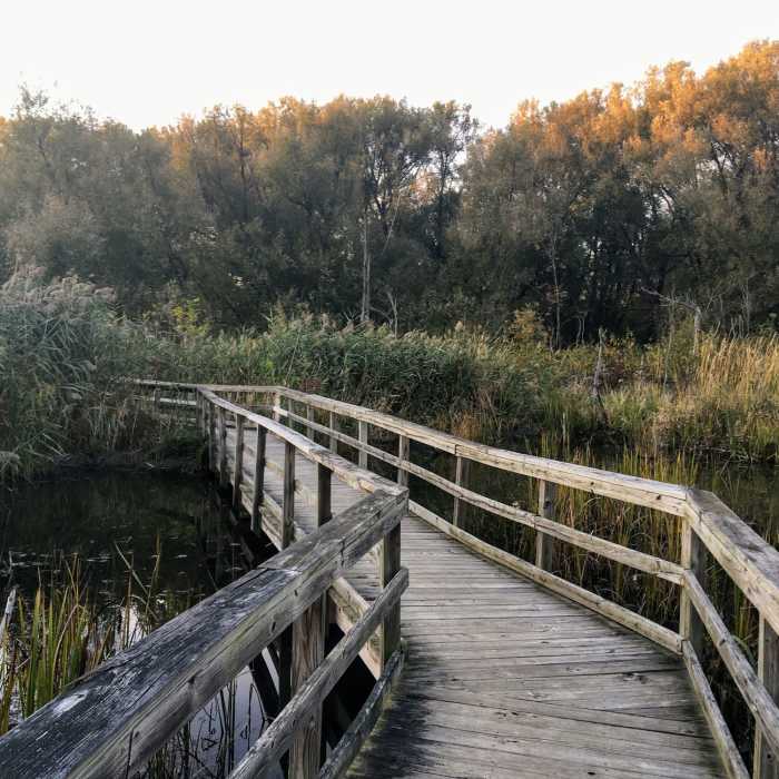 The nature boardwalks are well kept and fun to walk on Near Birdsong Nature Trail