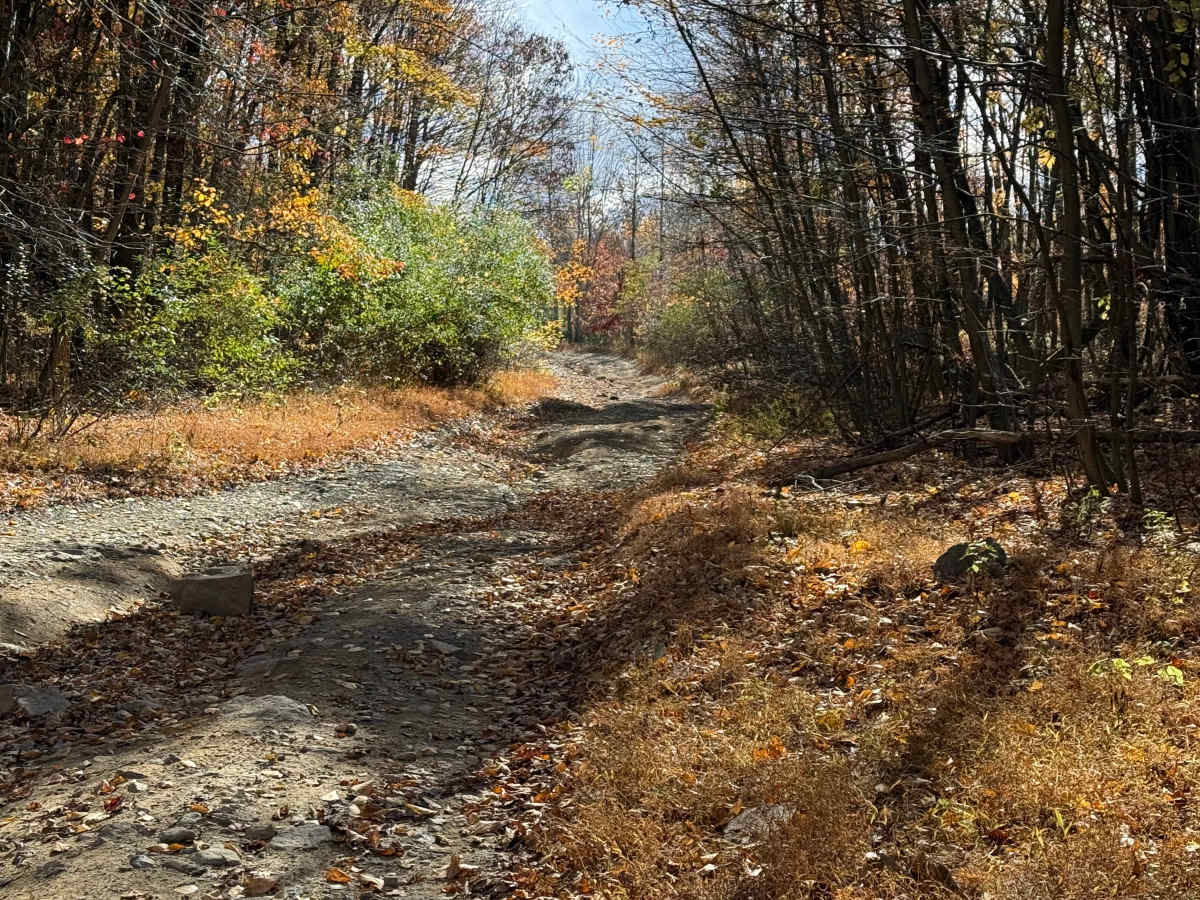 Trail 132 photo 4