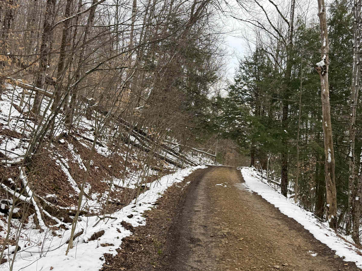 Turnip Run - FS 188 trail photo