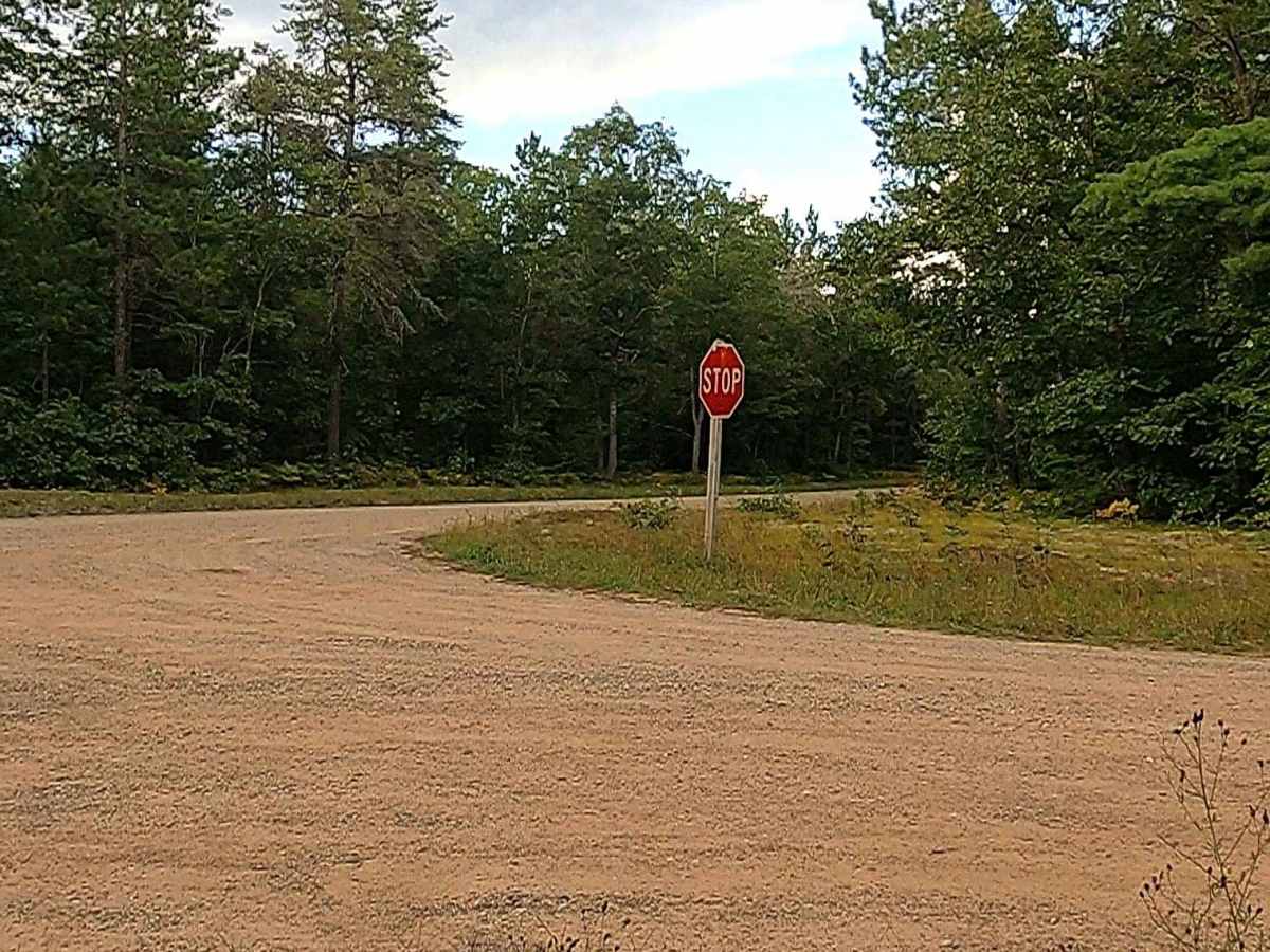 Waishkey River Truck Trail/Road - FS 3352 photo 3