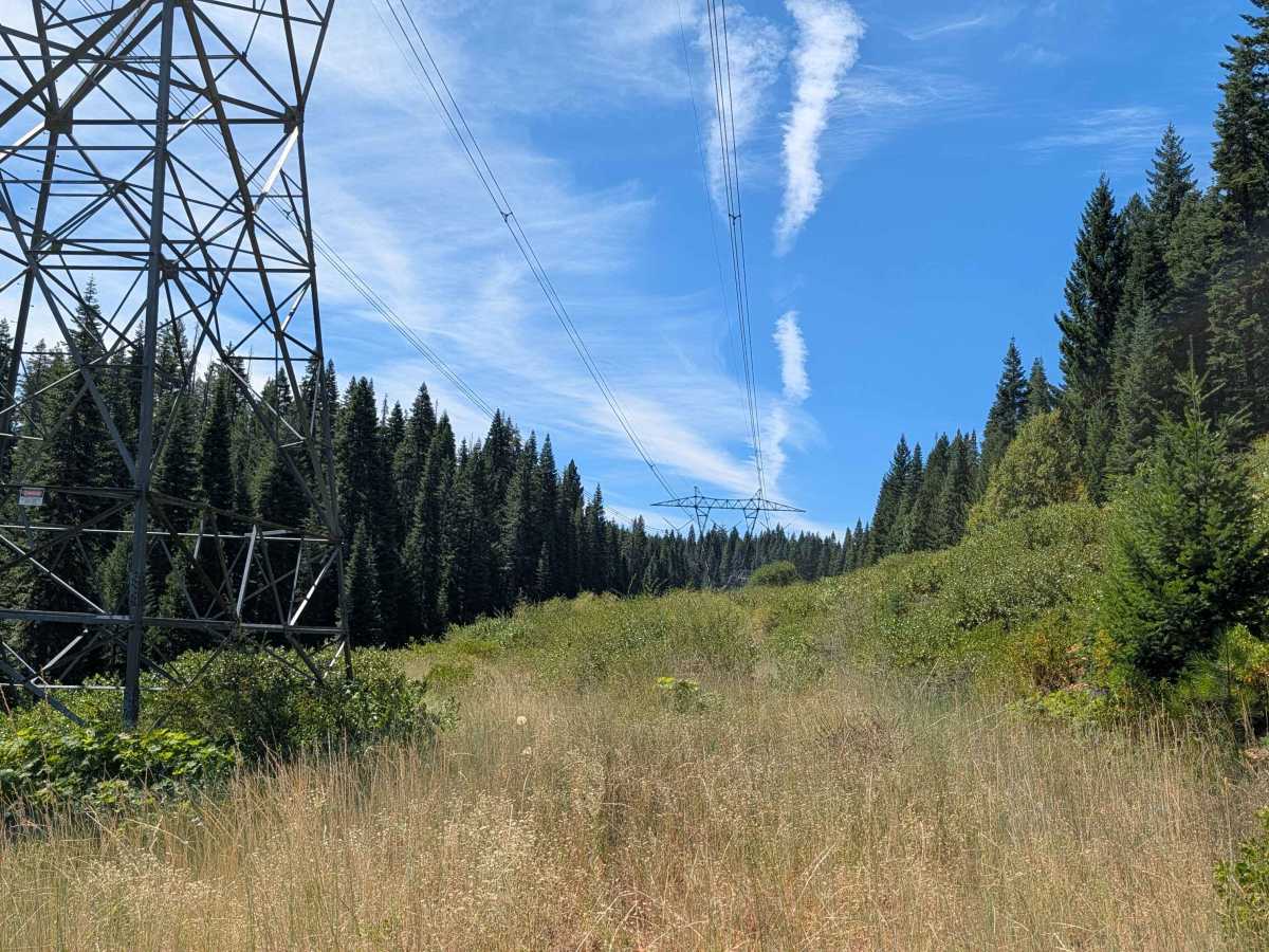 Dead Horse Tower - FS 40N10H photo 3