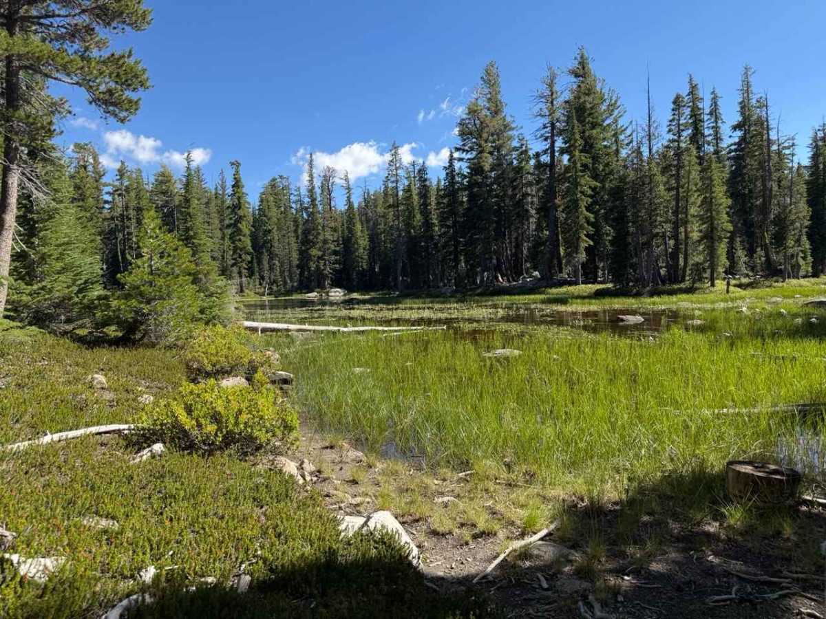 Pond Spur trail photo