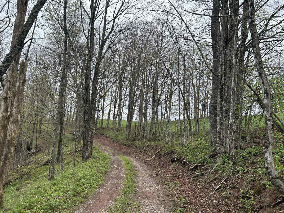 Chestnut Ridge Road photo 2