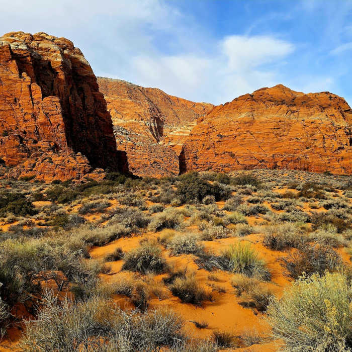 Near West Canyon Road