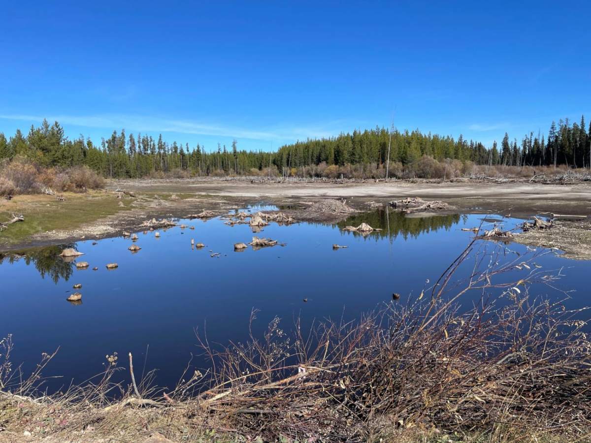 Aberdeen FSR to Ideal Lake photo 5
