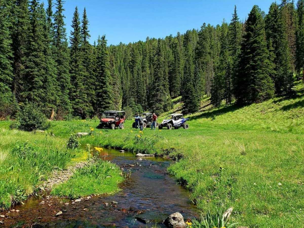 Burro Mountain Loop trail photo