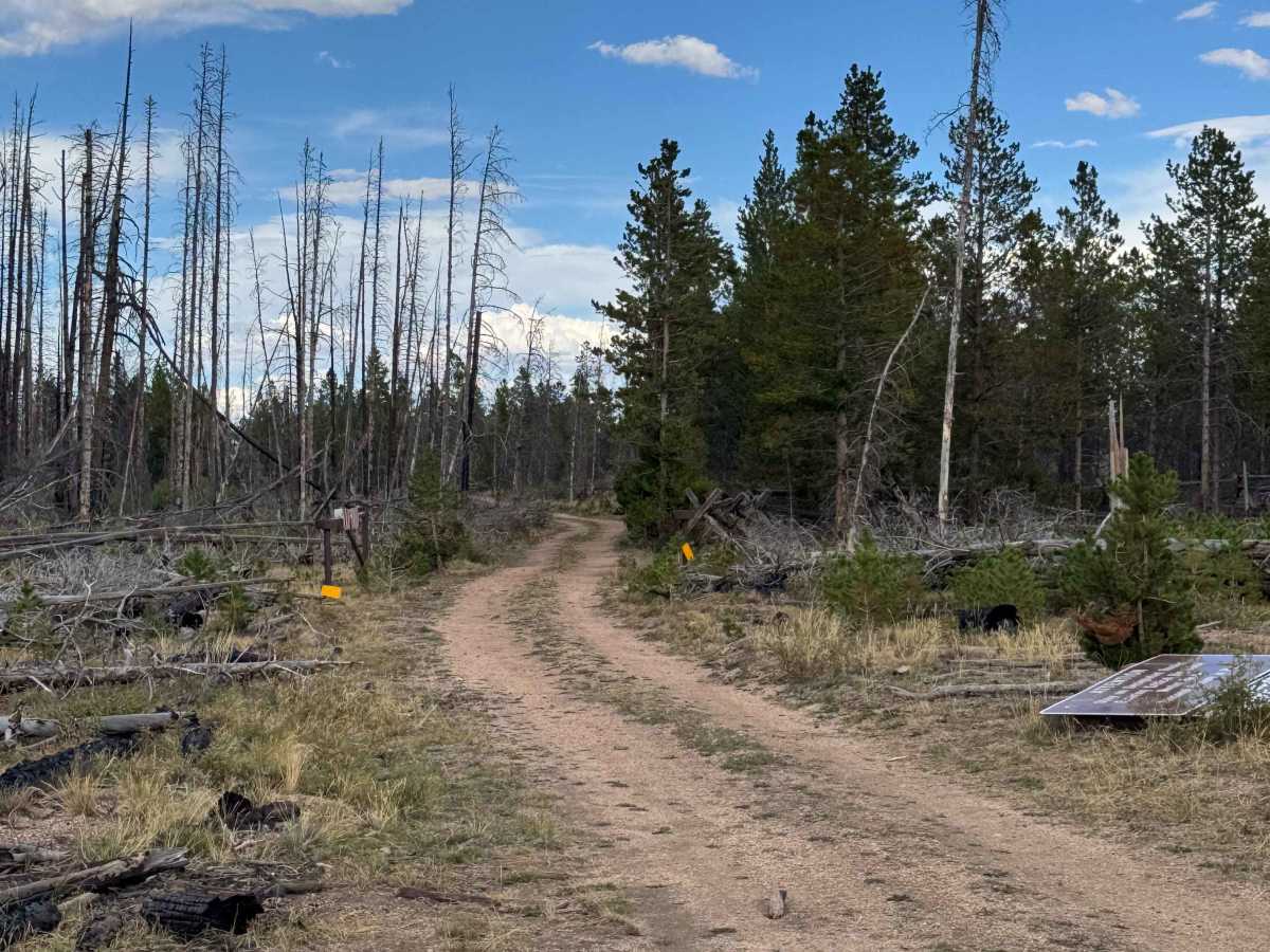 North Gramm Road trail photo