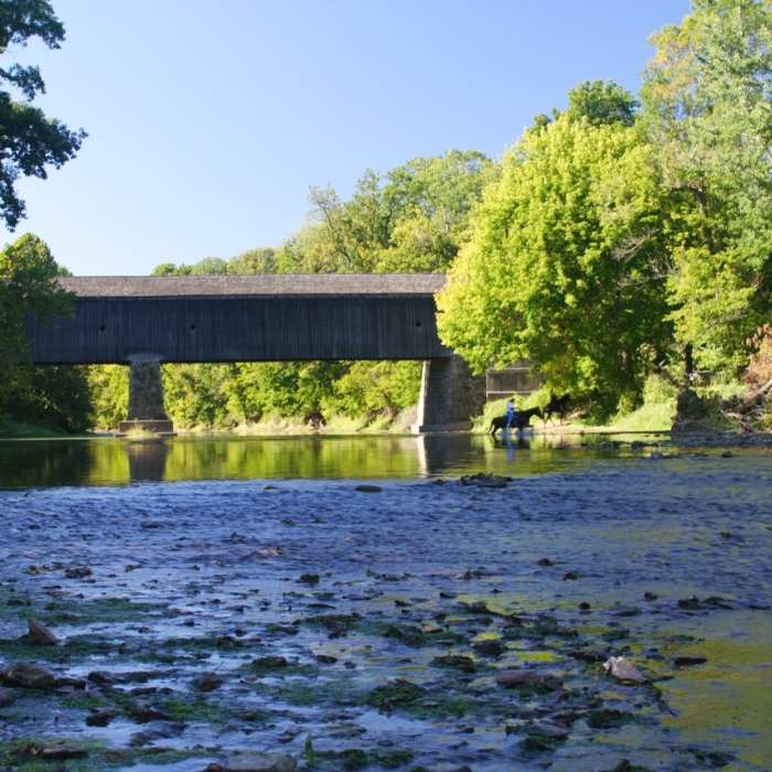 Horse Crossing at Schofield Ford Covered Bridge Near Tyler State Park Loop