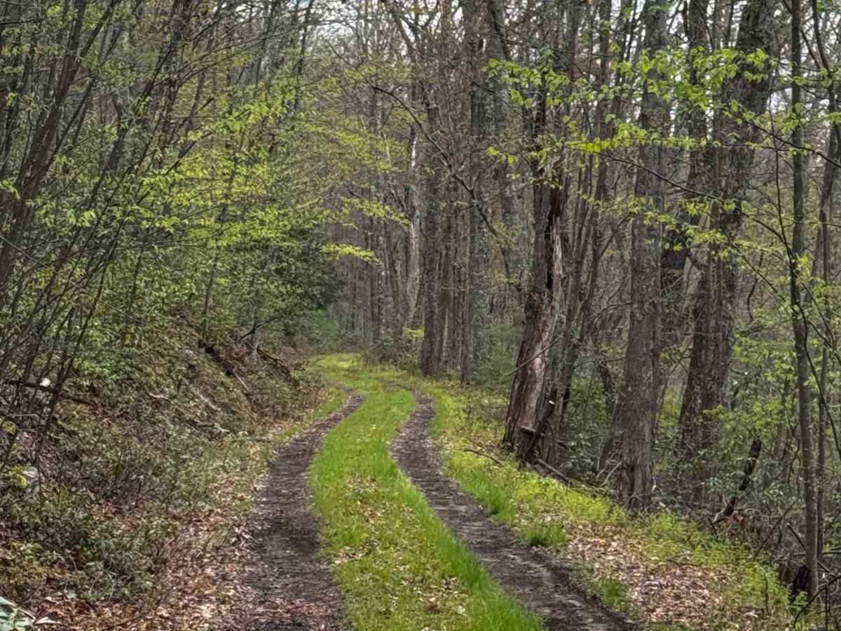 Naval Run Trail photo 6