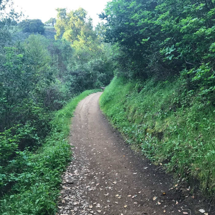 Near Cora and Seven Springs Loop