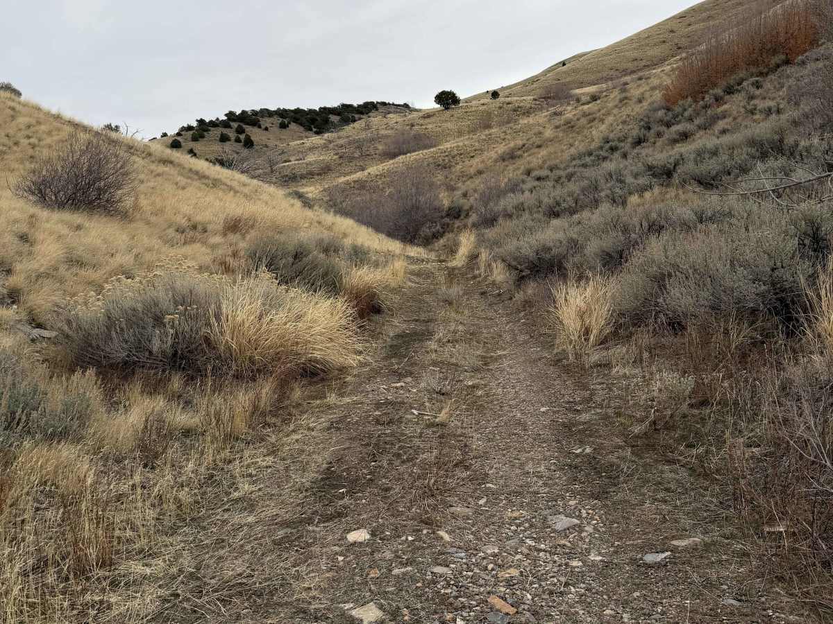 Long Juab Canyon photo 3