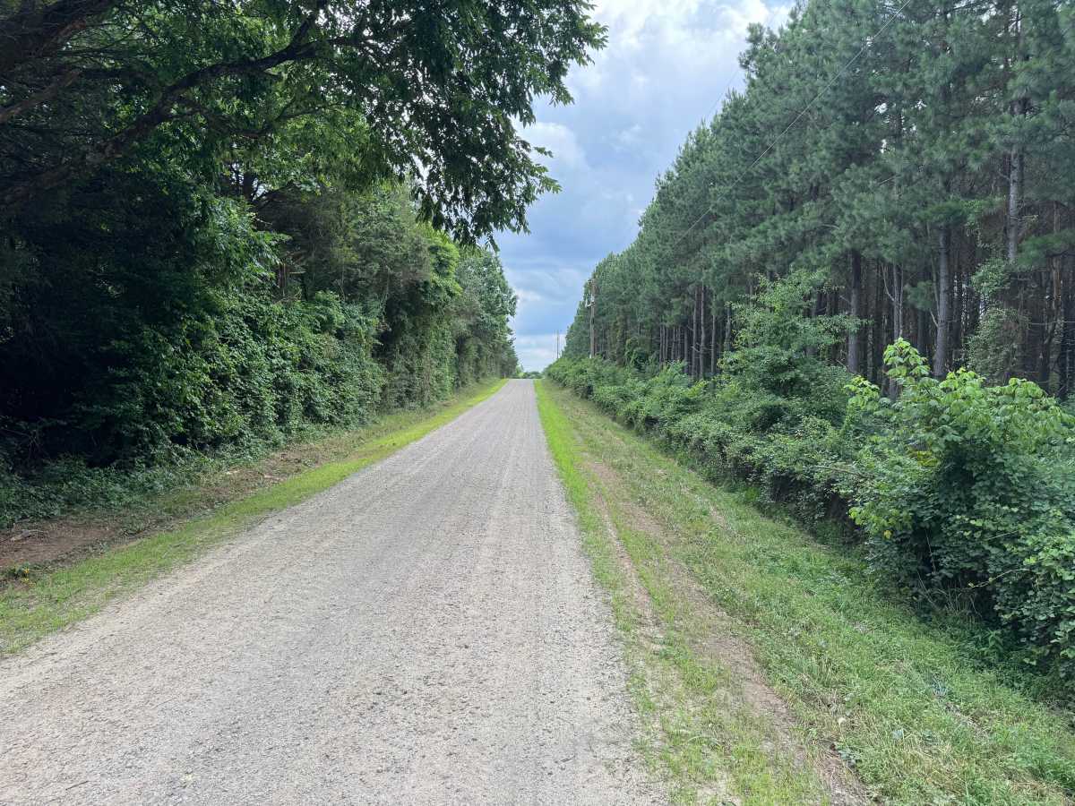 County Road 3851 photo 2