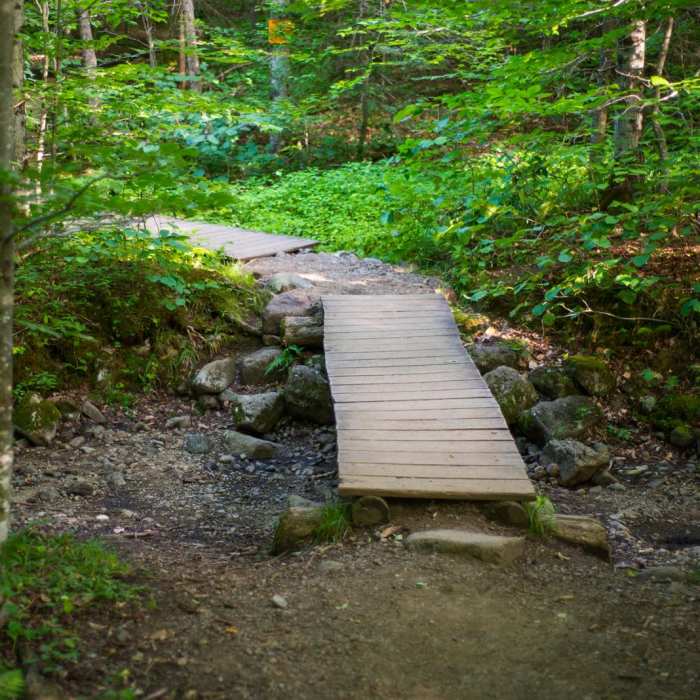 Near Cascade + Porter Mountains Near Cascade + Porter Mountains