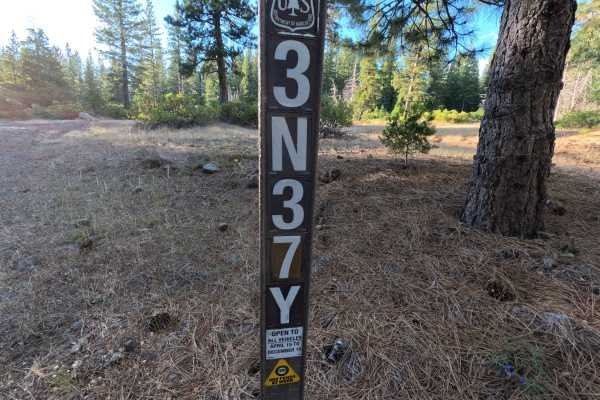 FS 3N37Y