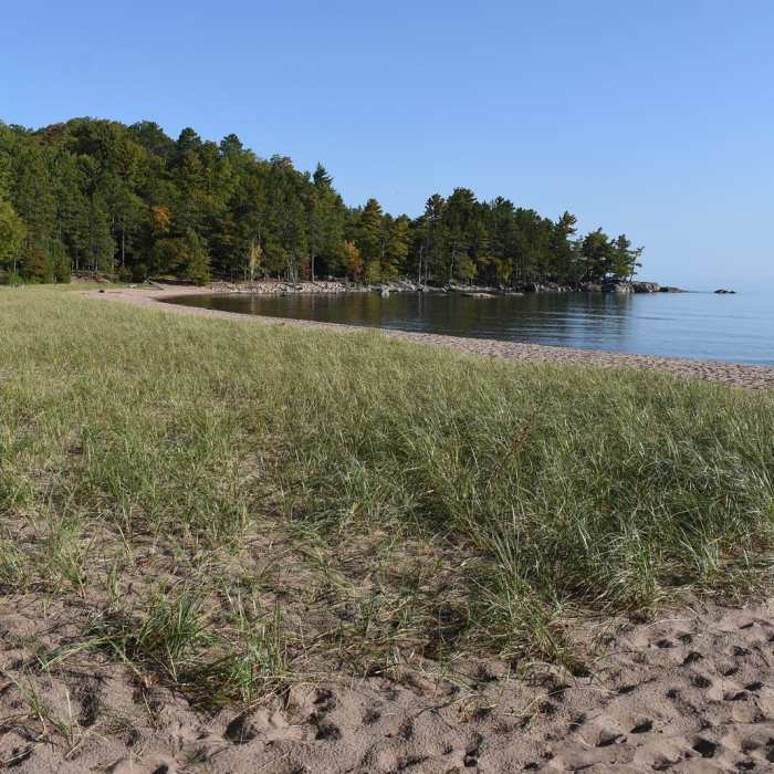 Near Wetmore Shoreline Trail Near Wetmore Shoreline Trail