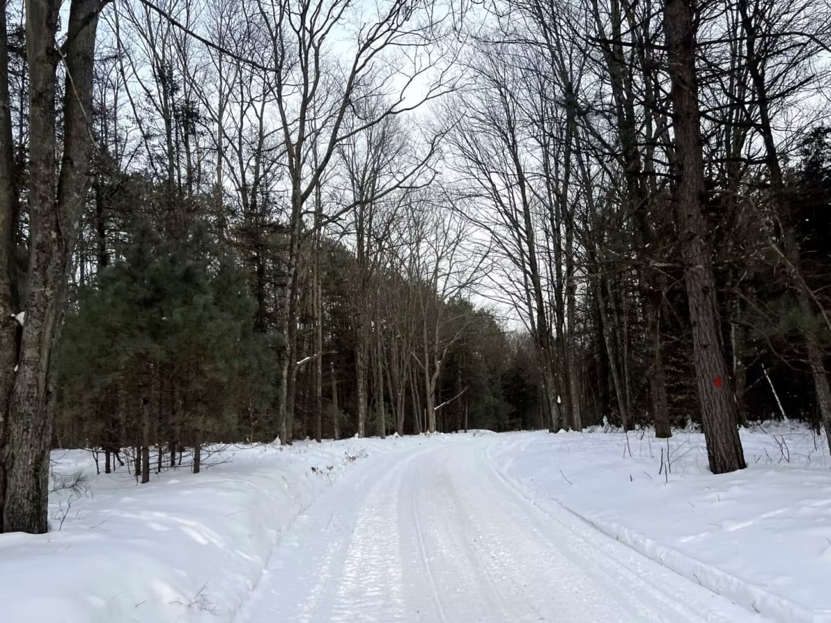 Shields Dam Road photo 4