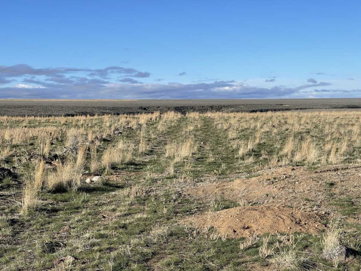 Fence Line Trail photo 4