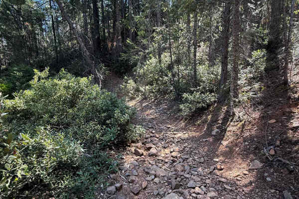 Trail 1-3 (11E30)