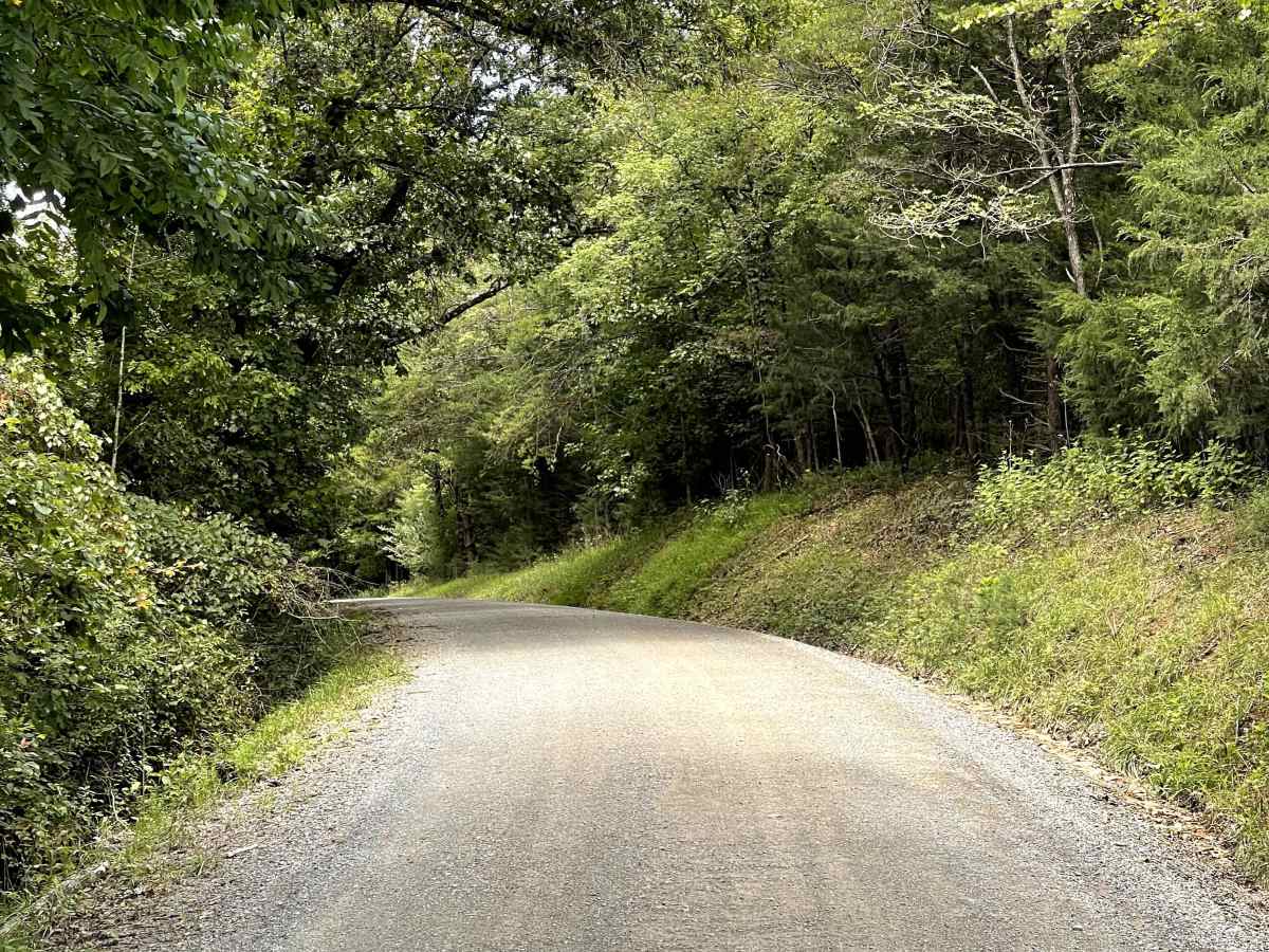 Route 685 photo 5